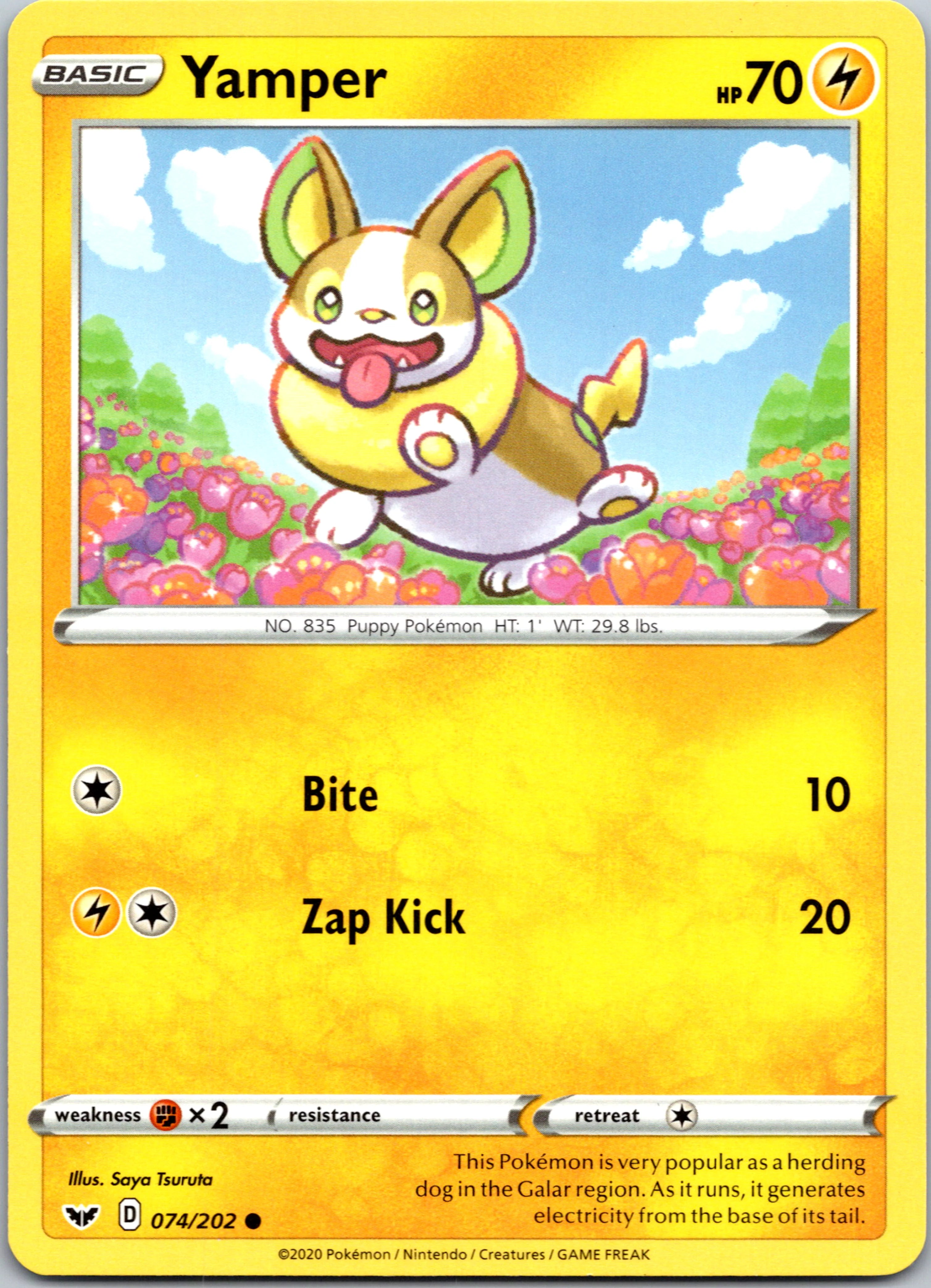 Yamper (074) (074/202) [SWSH01: Sword & Shield Base Set]