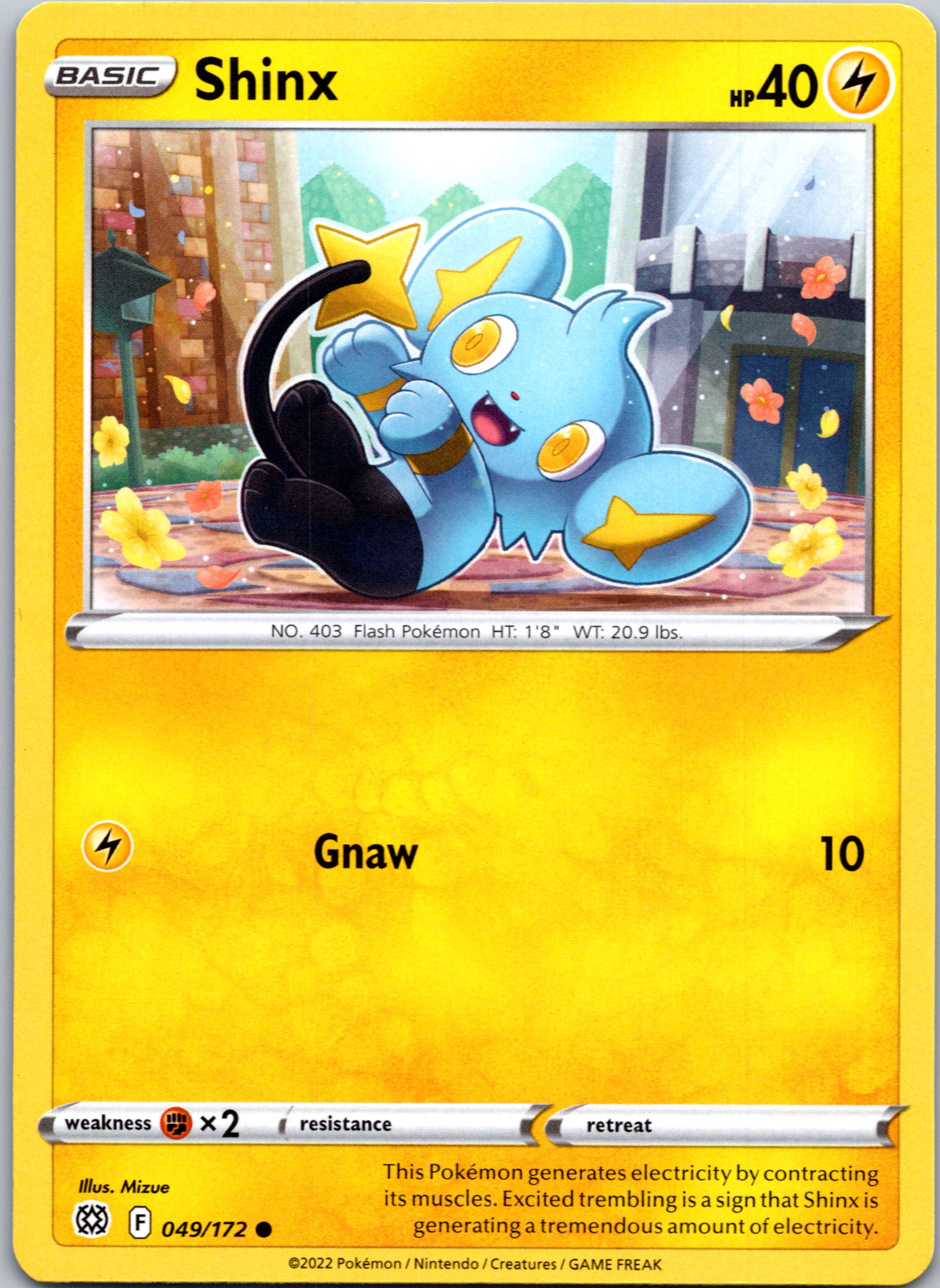 Shinx (049/172) [Sword & Shield: Brilliant Stars]