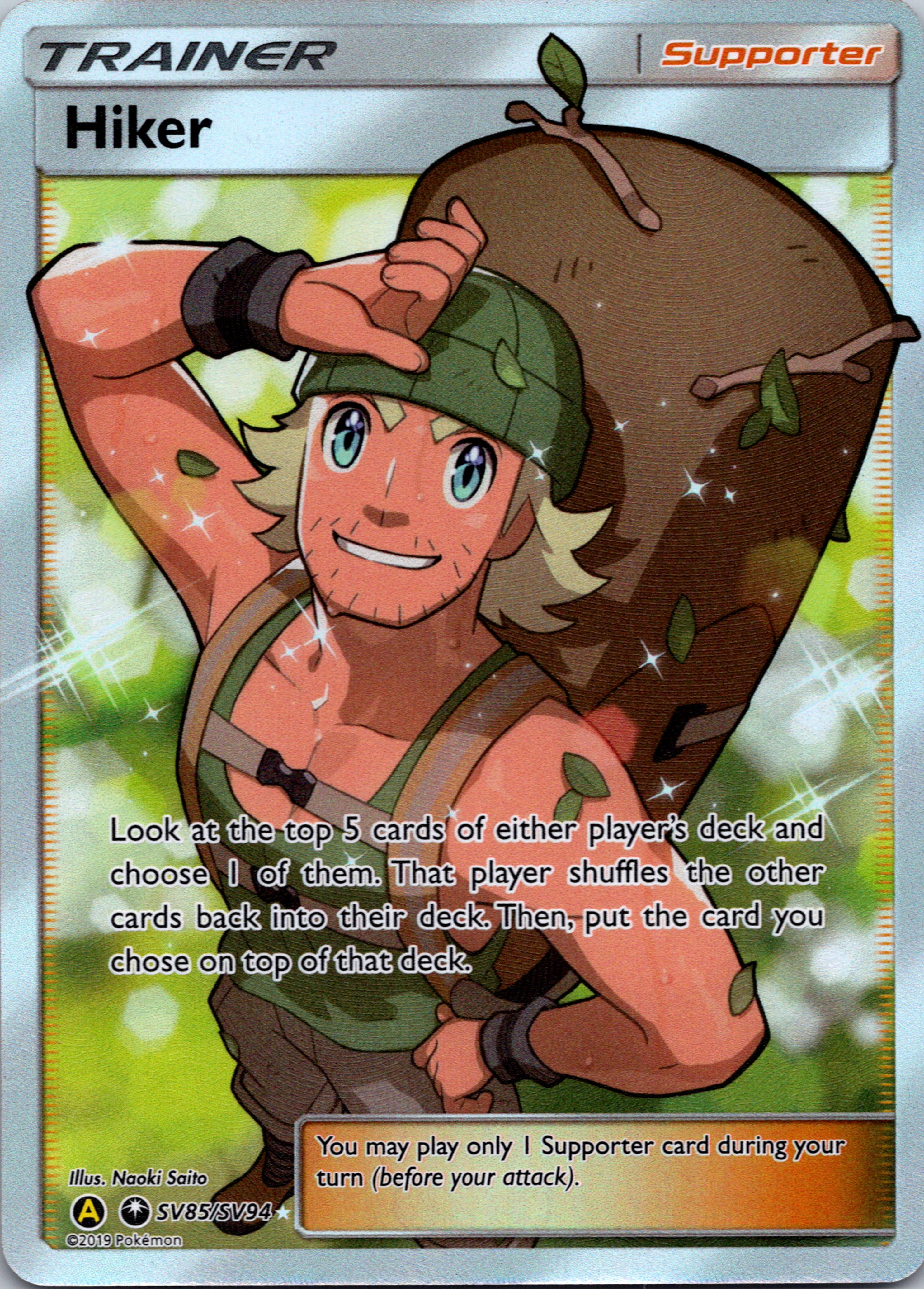 Hiker (SV85/SV94) [Hidden Fates: Shiny Vault]