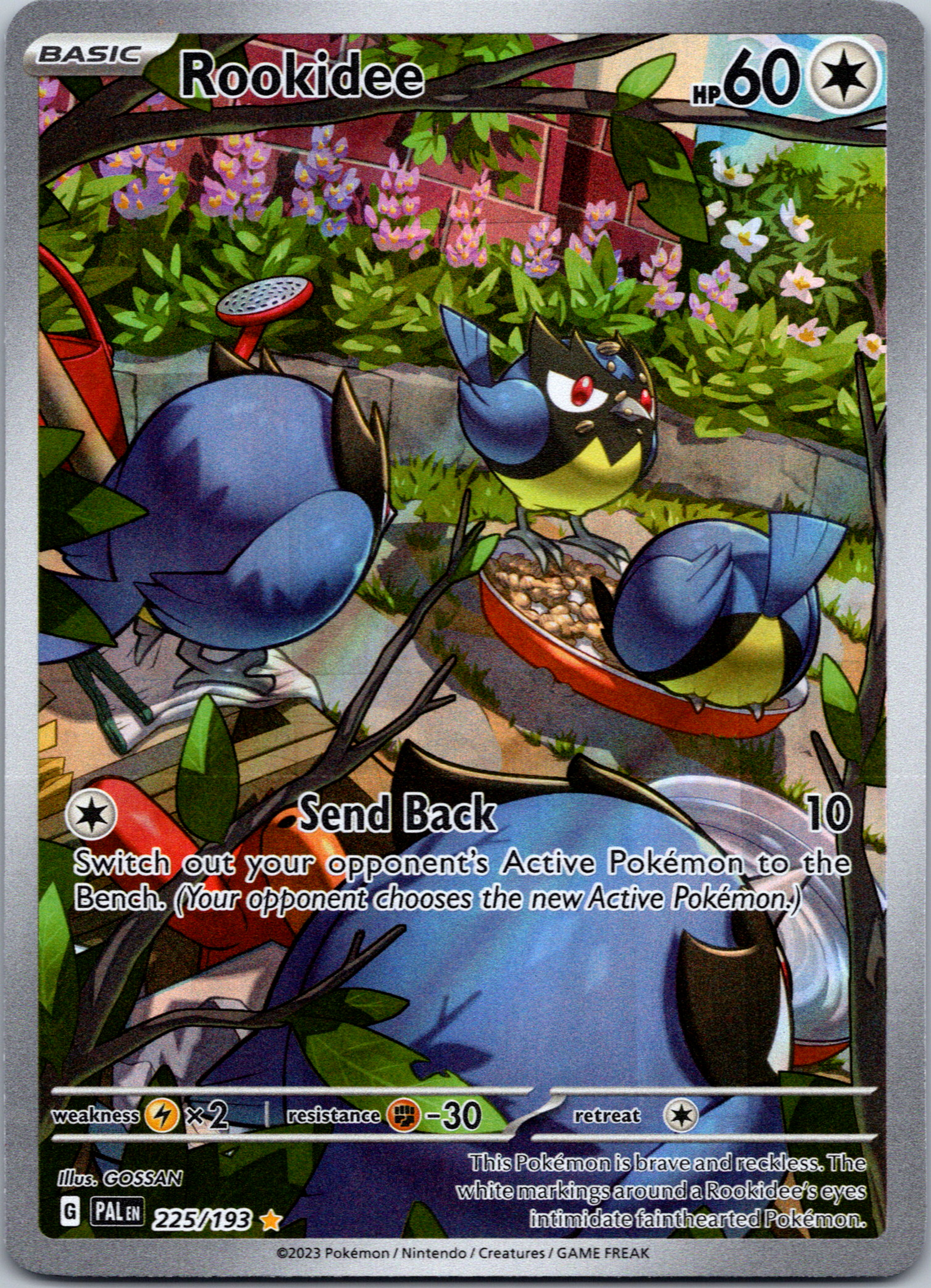 Rookidee (225/193) [Scarlet & Violet: Paldea Evolved]