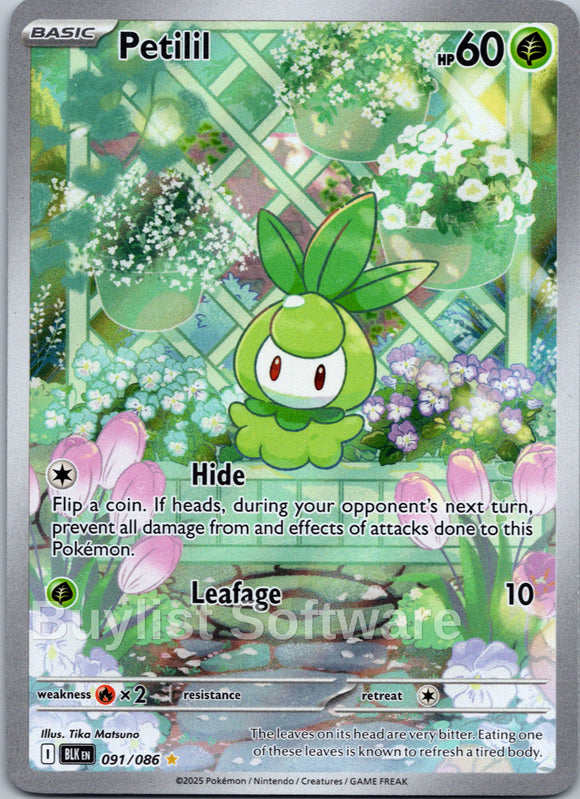 Petilil [091/086] [Black Bolt] Holofoil