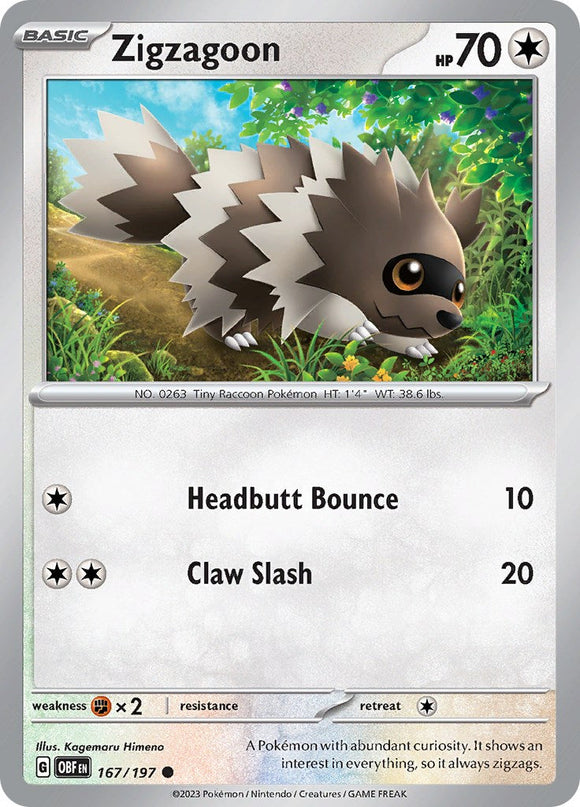 Zigzagoon [167/197] [Obsidian Flames]