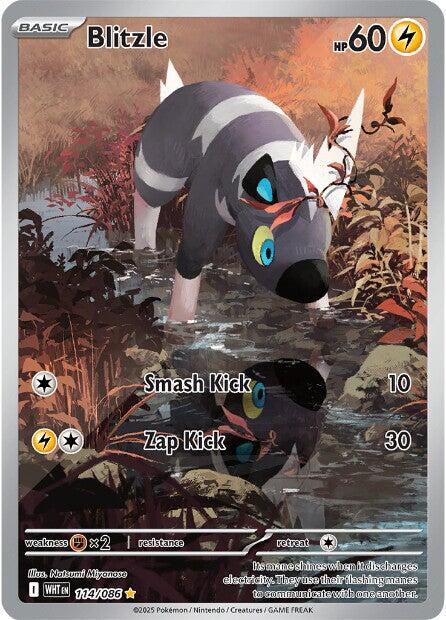 Blitzle [114/086] [White Flare] Holofoil
