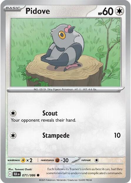 Pidove [071/086] [Black Bolt] Reverse Holofoil