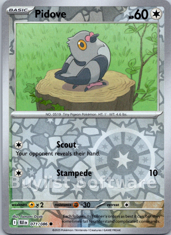 Pidove [071/086] [Black Bolt] Reverse Holofoil