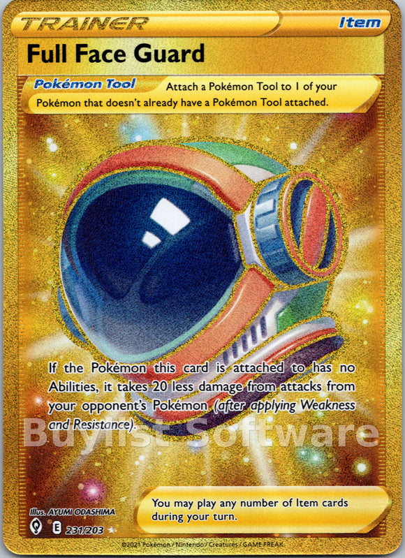 Full Face Guard