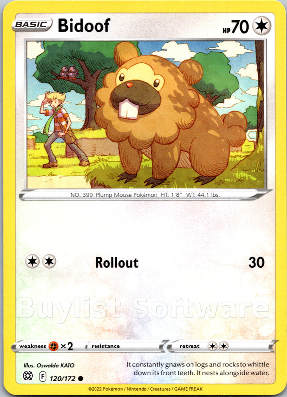 Bidoof [120/172] [Brilliant Stars]