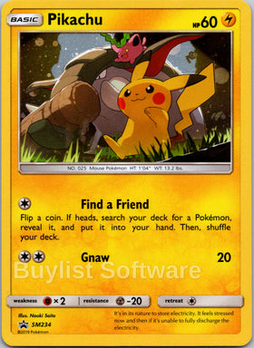 Pikachu [SM234] [Sun & Moon Promos] Holofoil