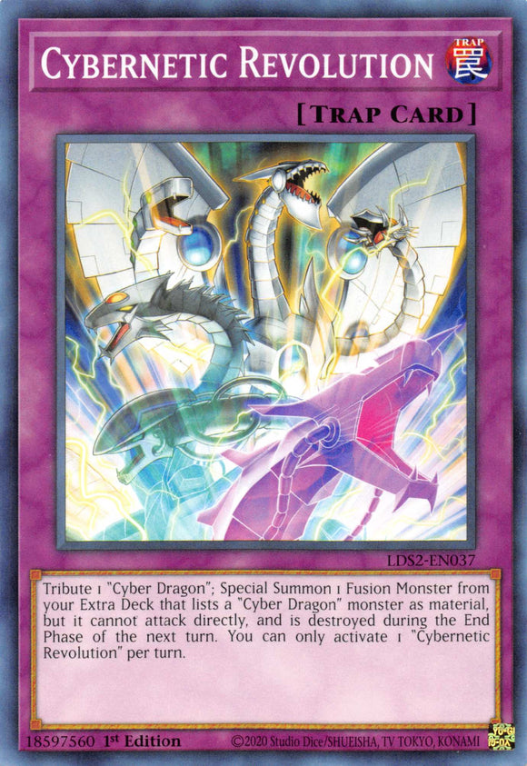 Cybernetic Revolution [LDS2-EN037] Common